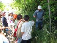 ACTIVITATS COSMOF&Iacute;SICA-HERBARIO